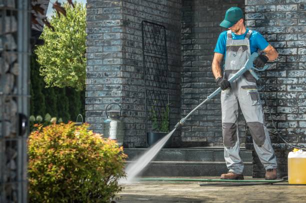 Best Animal Enclosure Cleaning  in Dorothy, NJ